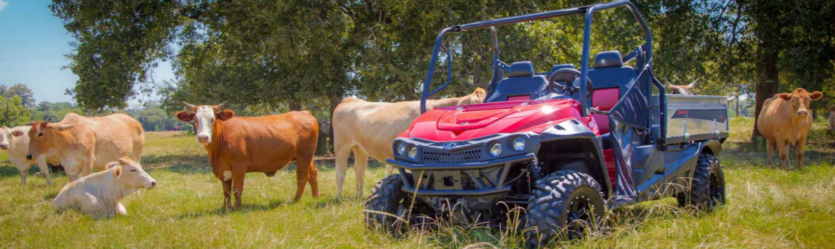 2019 Mahindra for sale in Demott Tractor Co., Moultrie, Georgia